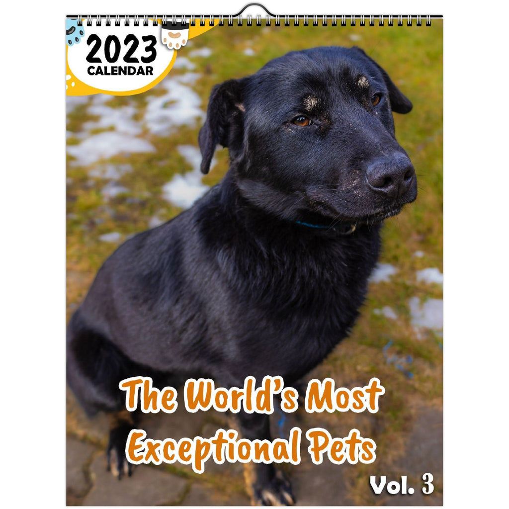 The World's Most Exceptional Pets Volume Three 2023 Wall Calendar