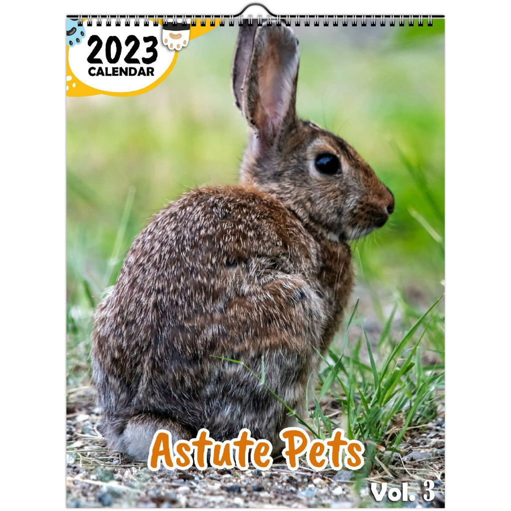 Astute Pets Volume Three 2023 Wall Calendar The Blissful Birder