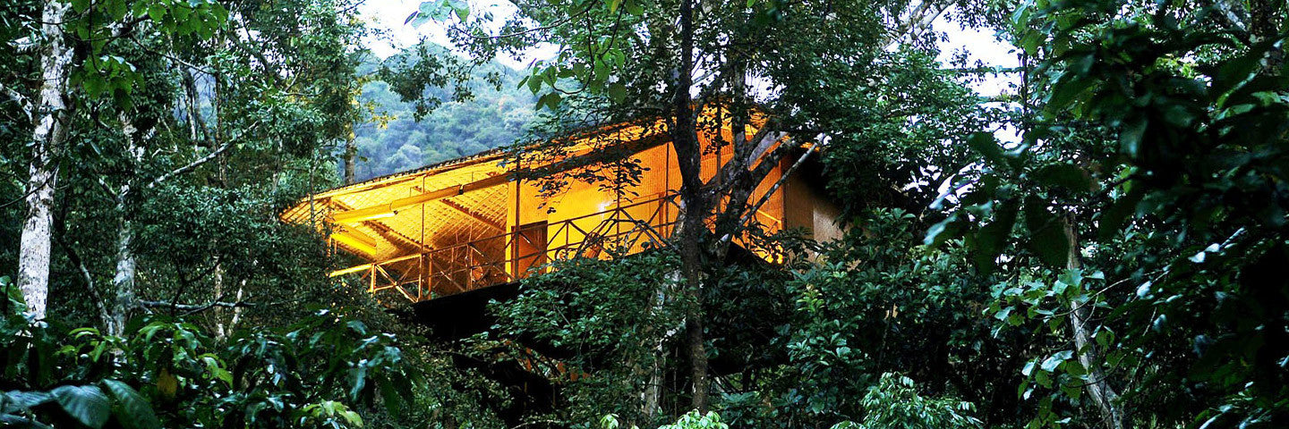 LOQI Exotic Dreams
