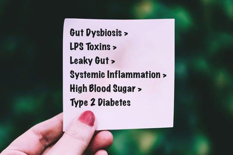 diabetes, gut microbiome