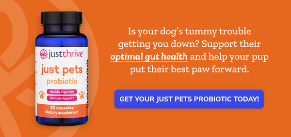 just pets probiotic