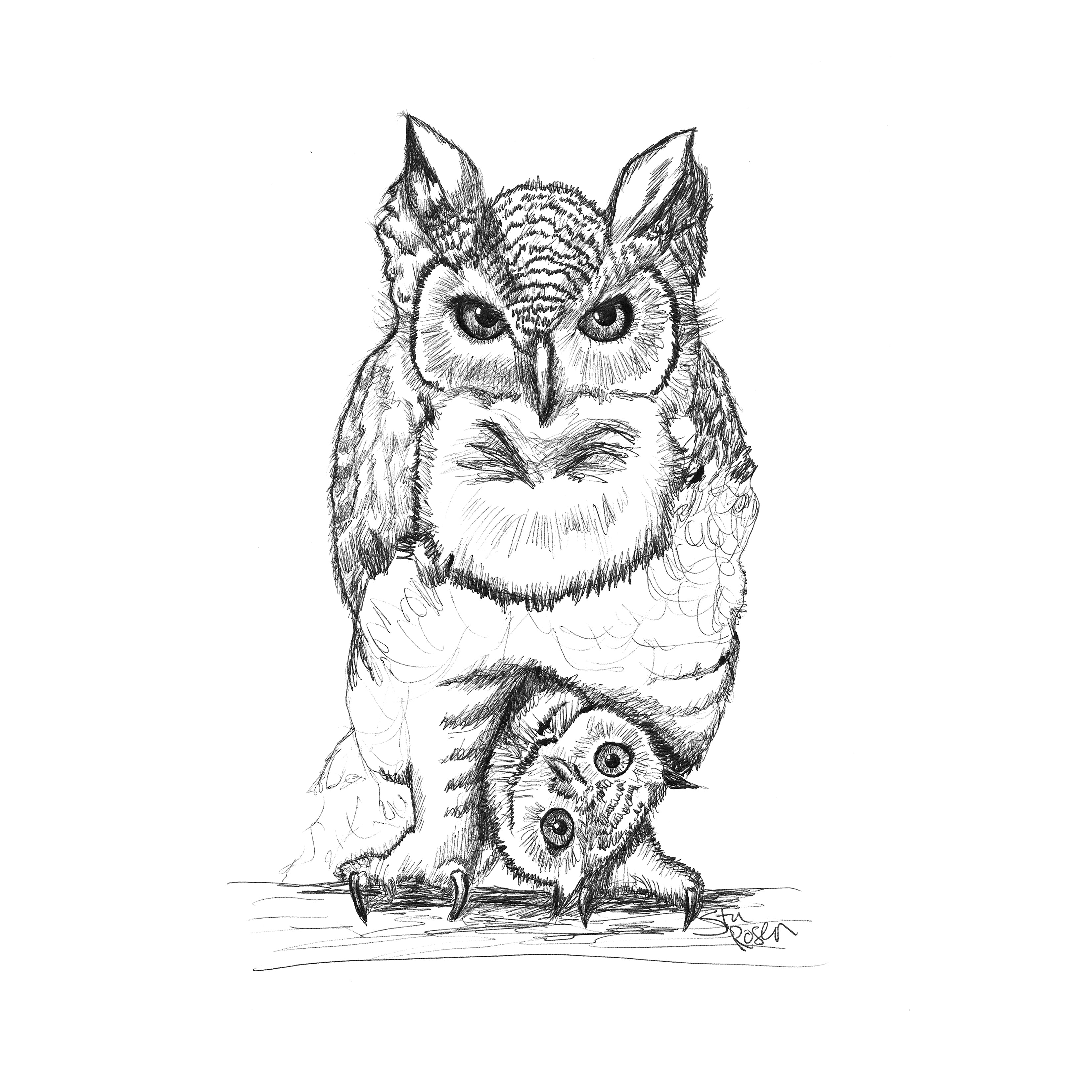 Owl - "Who Dat?" NFT Crypto