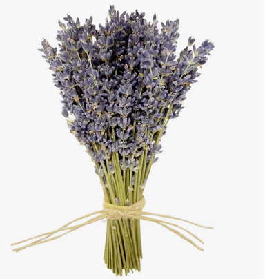 Dried Lavender French — Plenty Flowers