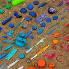 Plastic waste collected on the beach