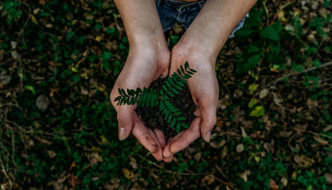 Woman holding dirt and a plant.