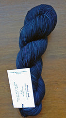 And then Buffy staked Edward indigo dragonfly sock