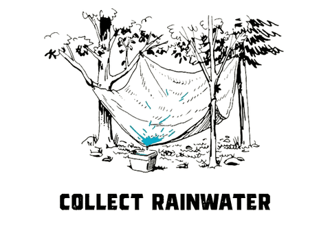 Collect Rainwater picture