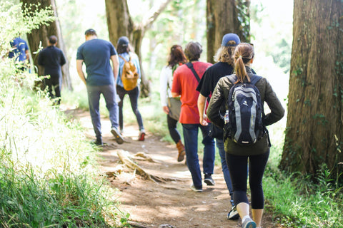 A group of people hiking