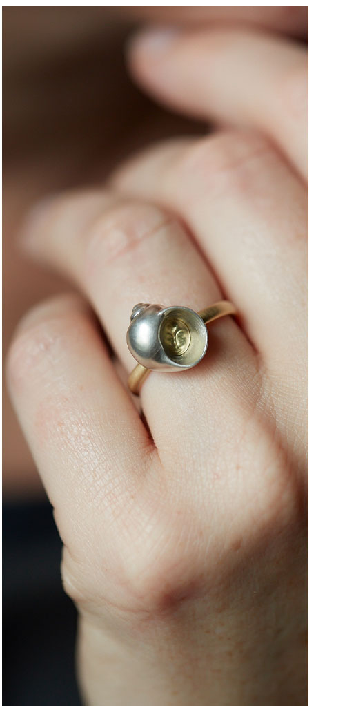 hbj shell ring