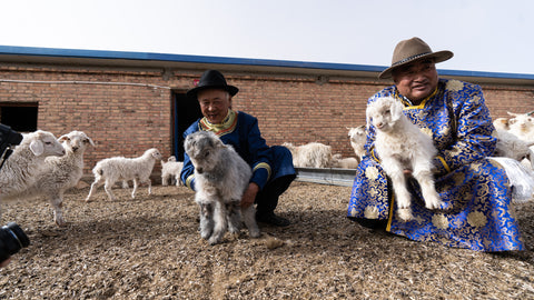 Mongolian shepherds in traditional dress with their herd of sheep  cashmere