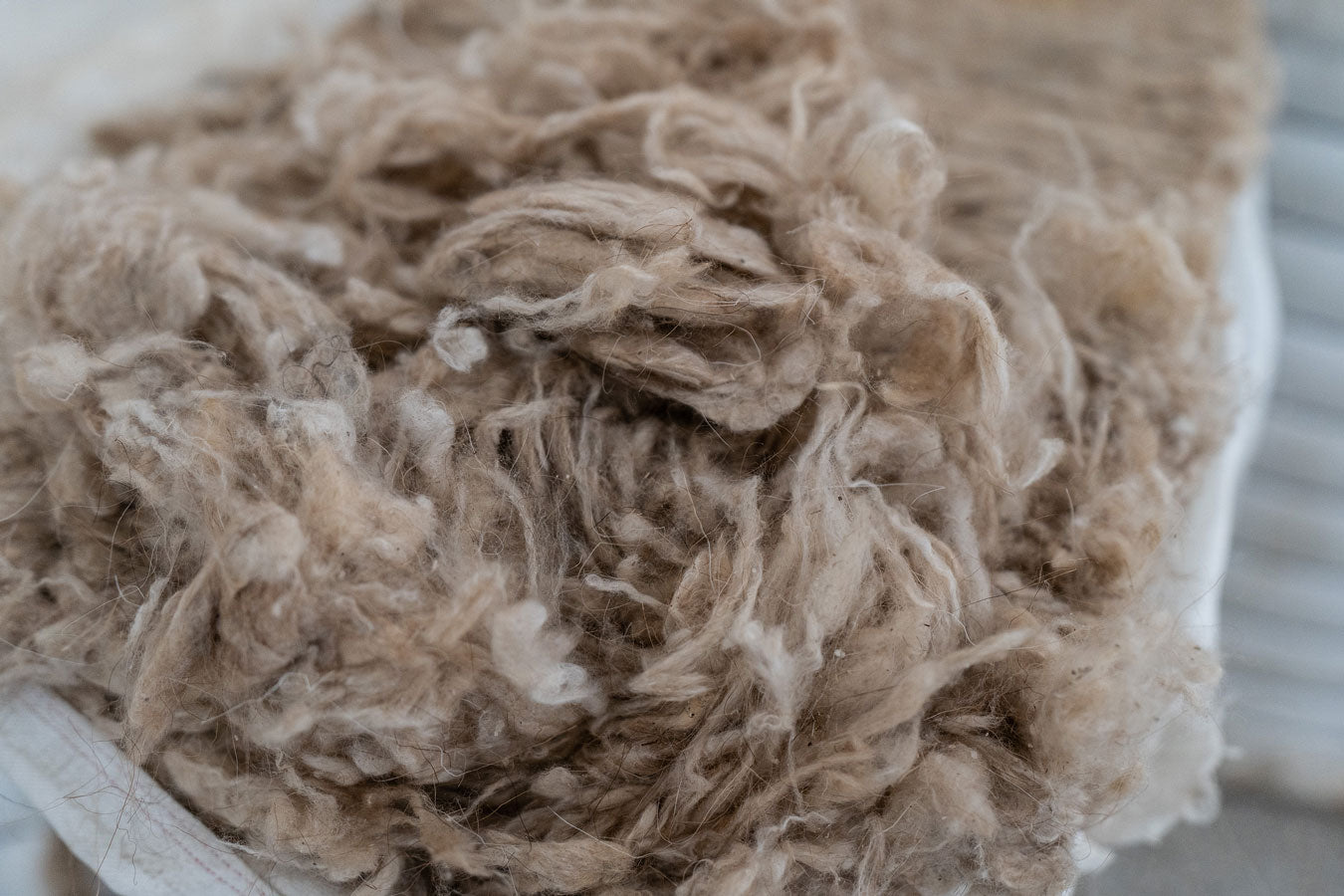 cashmere fibre