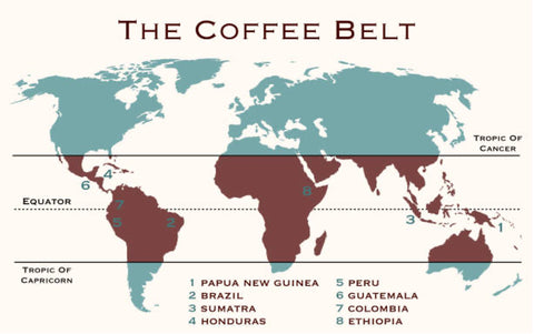 The Coffee Belt