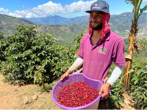 Central American Coffee Producer