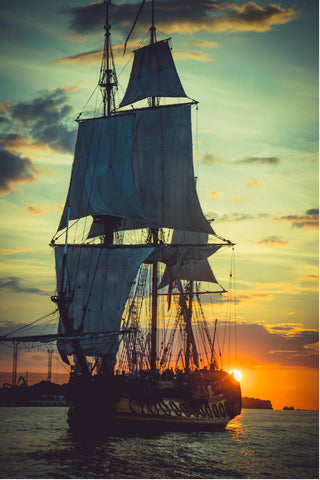 French ship bringing coffee plant