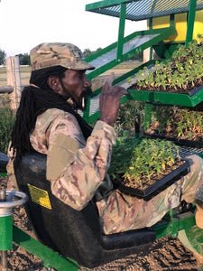 News Colorado Hemp Project