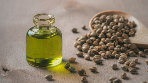 What is sunflower seed oil?