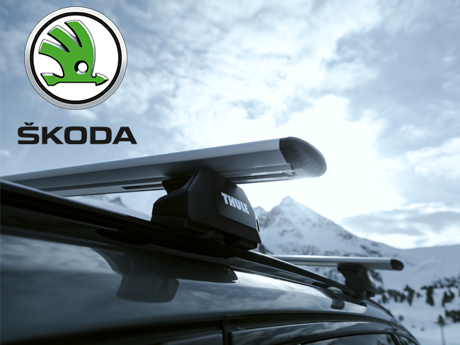 Buy Skoda ROOMSTER roof racks