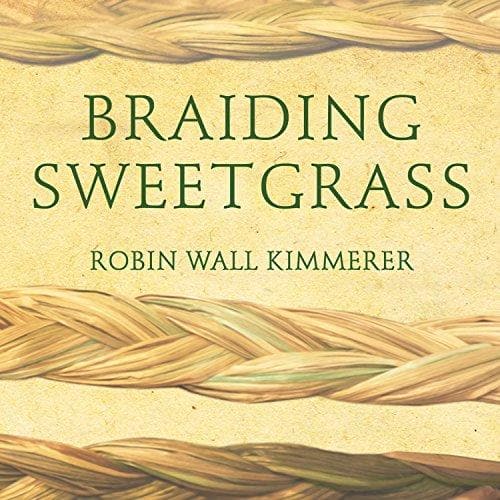 braiding sweetgrass for young adults