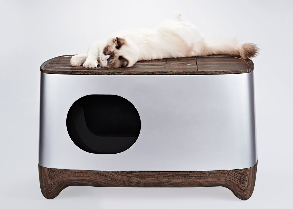 cat litter box