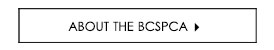BCSPCA