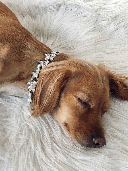 National Puppy Day | Lucy Necklace
