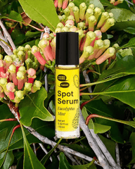 A bottle of yellow liquid on a background of a clove plant