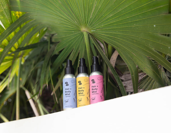 Three colorful bottles sit on a white shelf under a huge plant