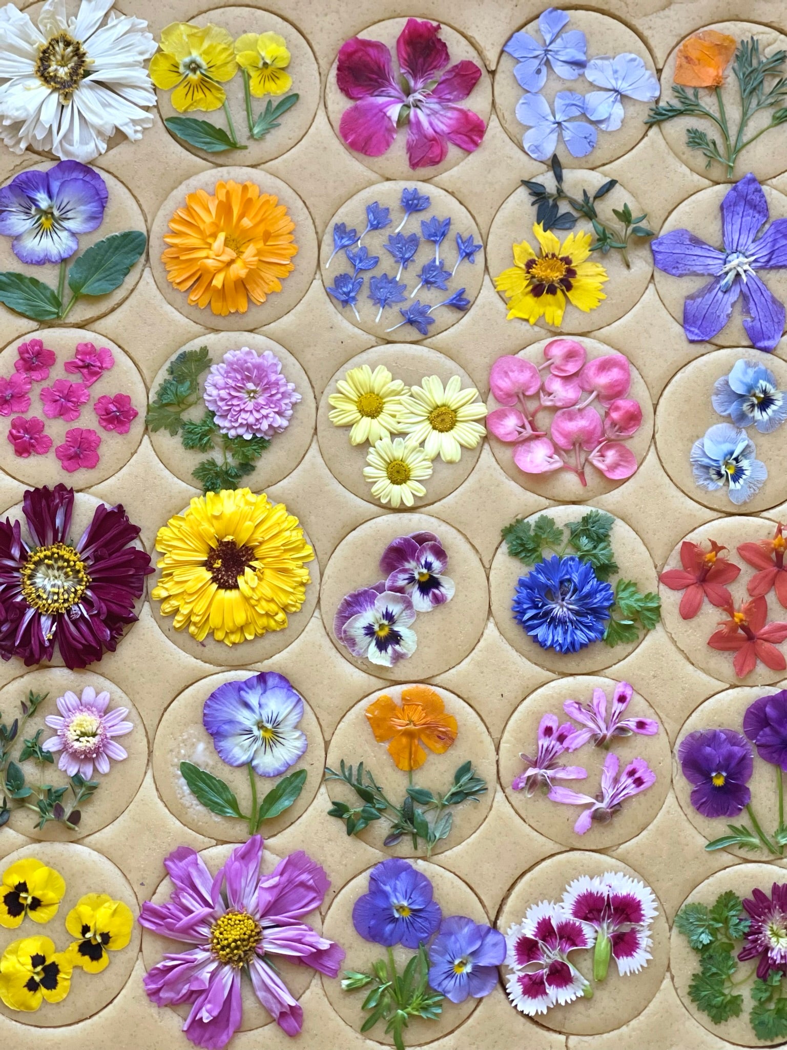 Edible Flowers for Drinks - Flowers You Can Eat