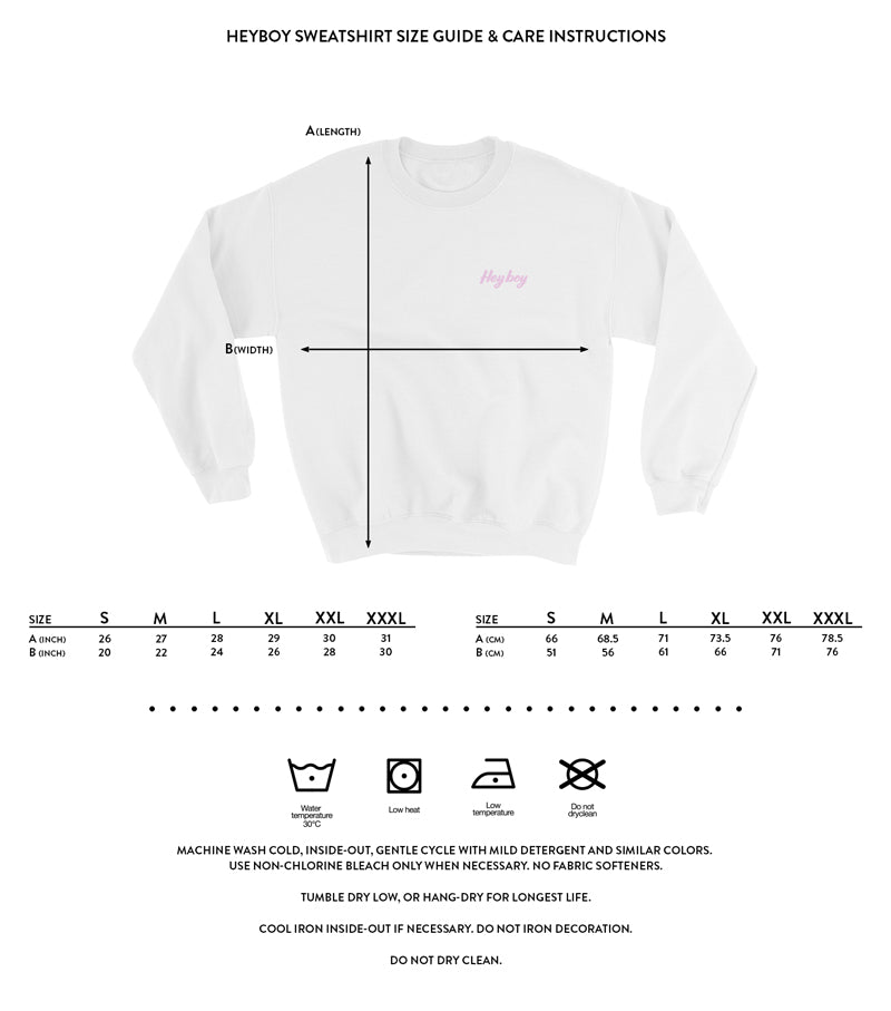 Heyboy Gay Sweatshirt size and care
