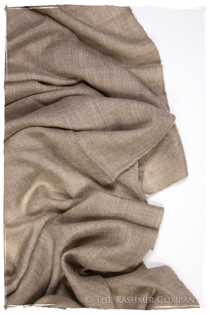 Taupe - Handloom Pashmina Cashmere Scarf — Seasons by The Kashmir Company