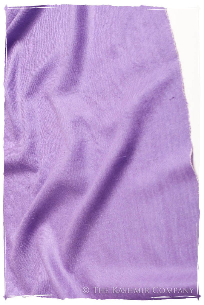 Bougainvillea - Le Luxe Simple - Grand Handloom Pashmina Shawl ...