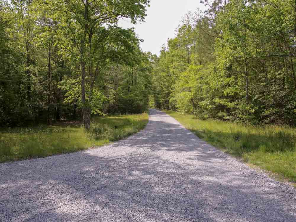 Long Gravel Driveway
