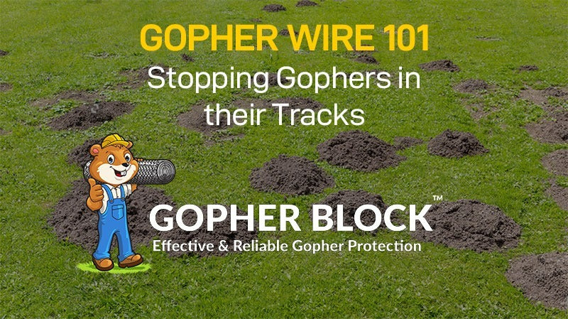 Gopher Wire over grass with mole hills
