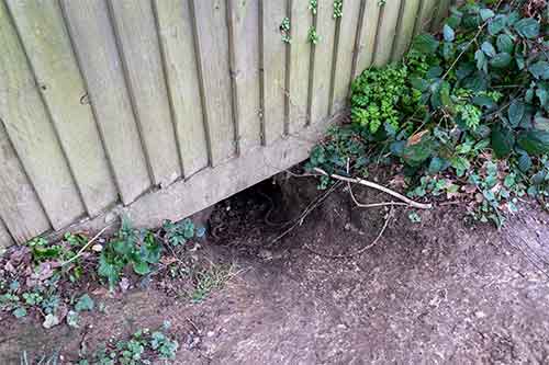 Hole Under Fence