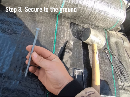 Use pins and 6 Man holding a landscape fabric pin