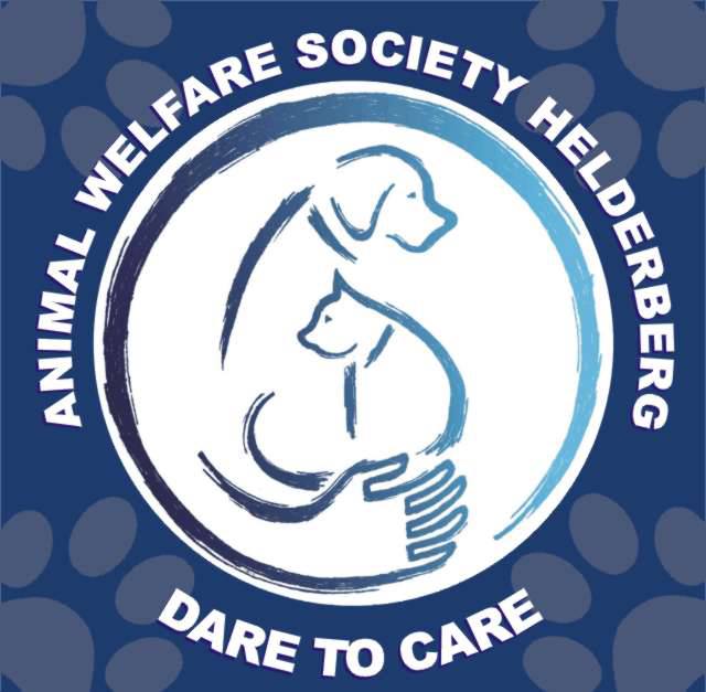 Fighting for the Underdog: Raffle for the Helderberg Animal Welfare Society