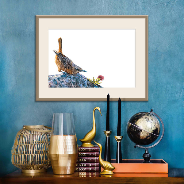 framed watercolour painting of cape rock thrush against beautiful blue wall