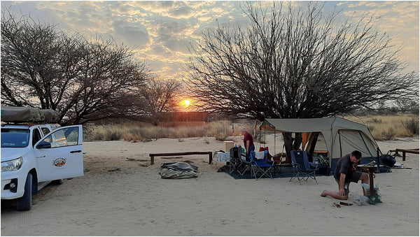 nossob camp kgalagadi transfrontier park south africa