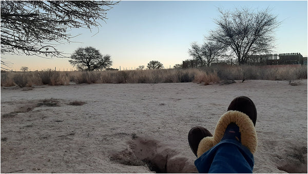 sunset kgalagadi transfrontier park south africa