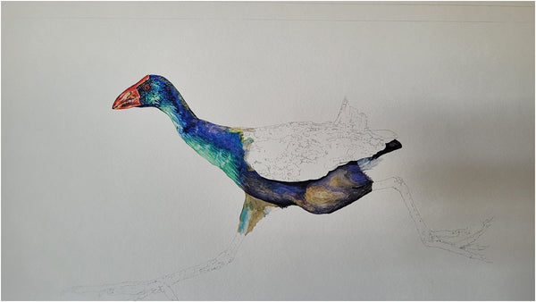 african swamphen watercolour painting process 003