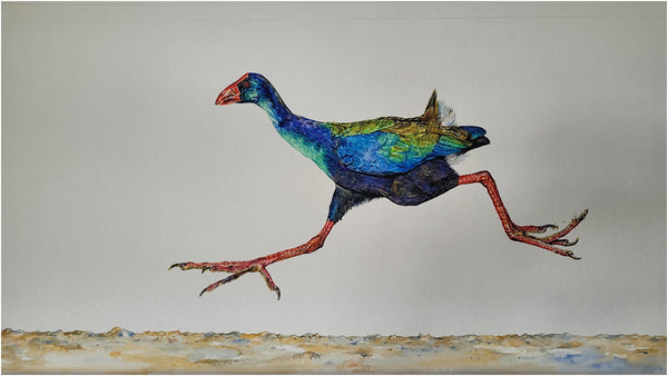 african swamphen watercolour painting process 008