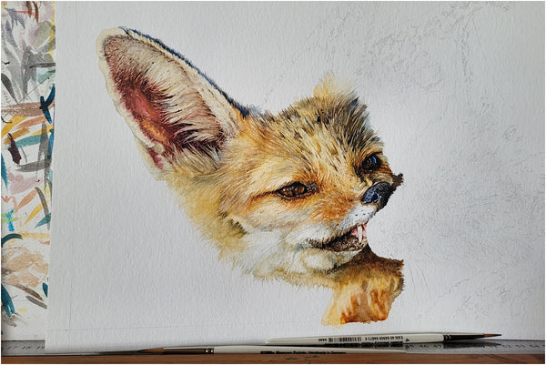 realistic cape foxes watercolour painting work in progress_003