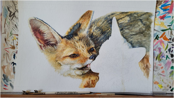 realistic cape foxes watercolour painting work in progress_004