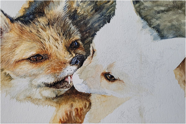 realistic cape foxes watercolour painting work in progress_005