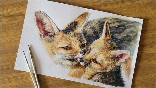 realistic cape foxes watercolour painting_002