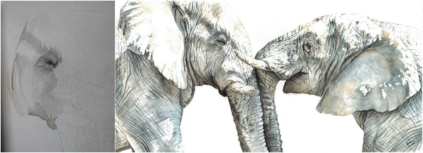 before and after of watercolour elephant painting