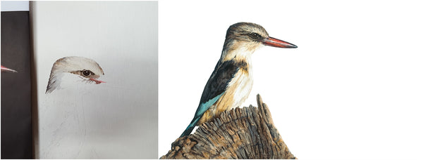before and after of watercolour brown-hooded kingfisher painting