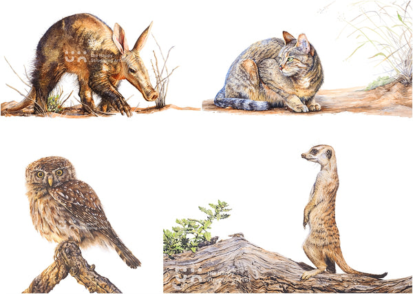 watercolour wildlife art by the happy struggling artist
