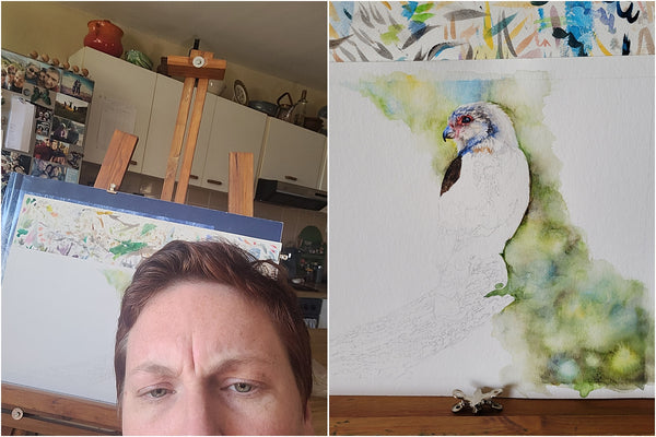 hyper-realistic pygmy falcon painting by the happy struggling artist 001