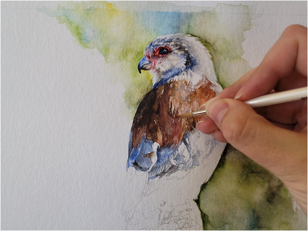 hyper-realistic pygmy falcon painting by the happy struggling artist 002